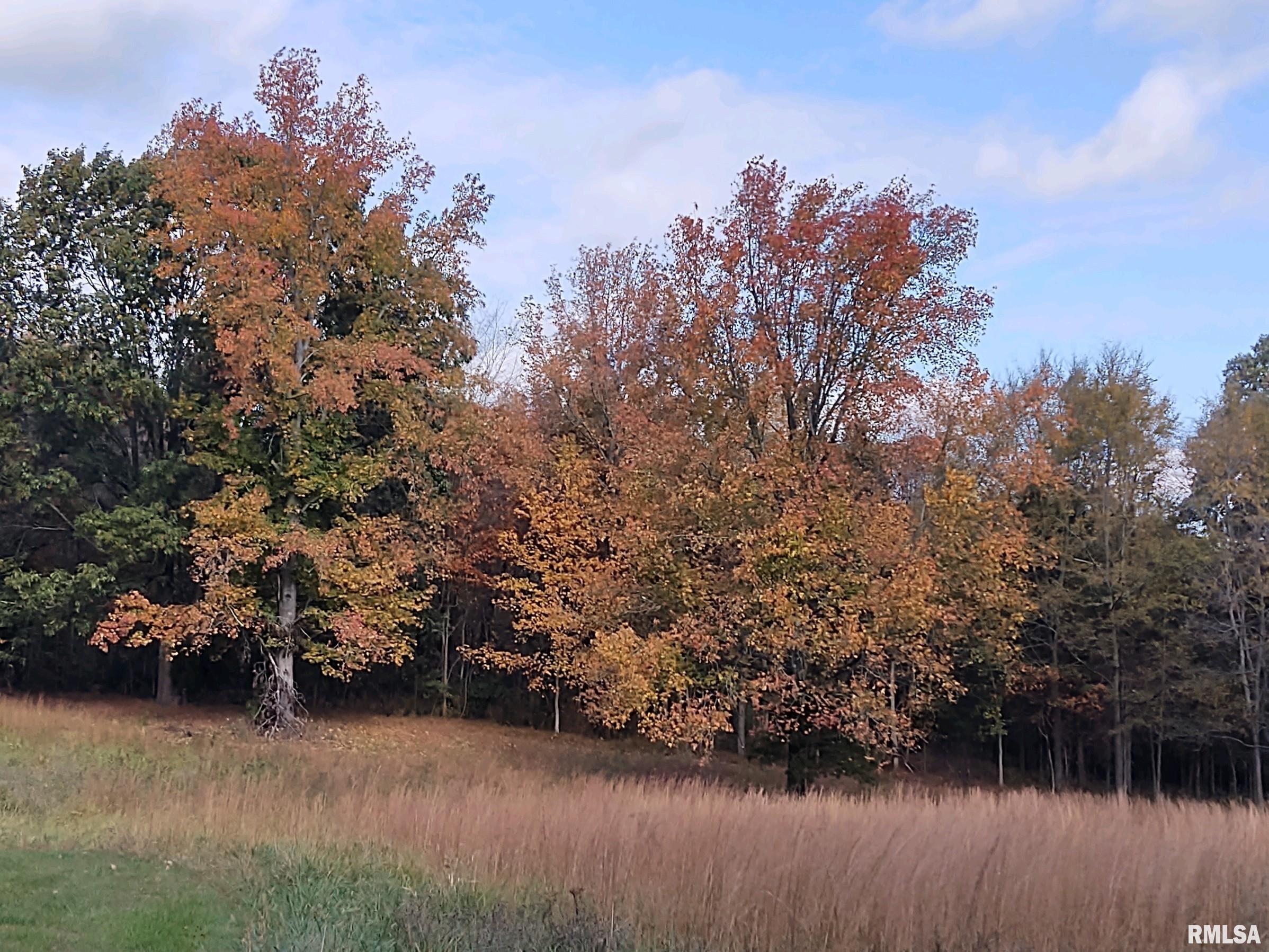 560 Oak Grove Road Vienna, IL 62995 - Photo 10 of 53
