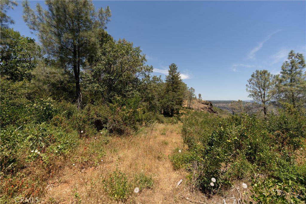 0 Doe Mill Road Forest Ranch, CA 95942 - Photo 8 of 50