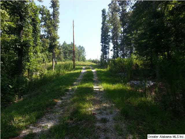 455 County Road, Unit 53 Woodland, AL 36280 - Photo 16 of 21