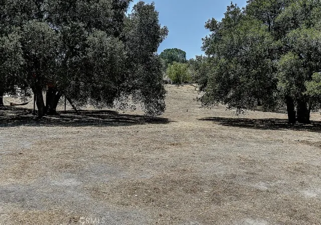 a view of outdoor space with trees
