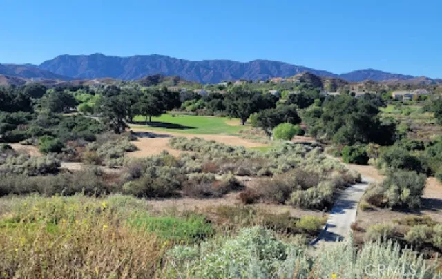 a view of a lush green hillside and a houses