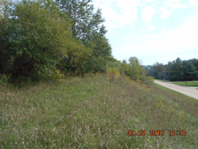 Lot 43 West Adams Road Pentwater, MI 49449 - Photo 5 of 9 035