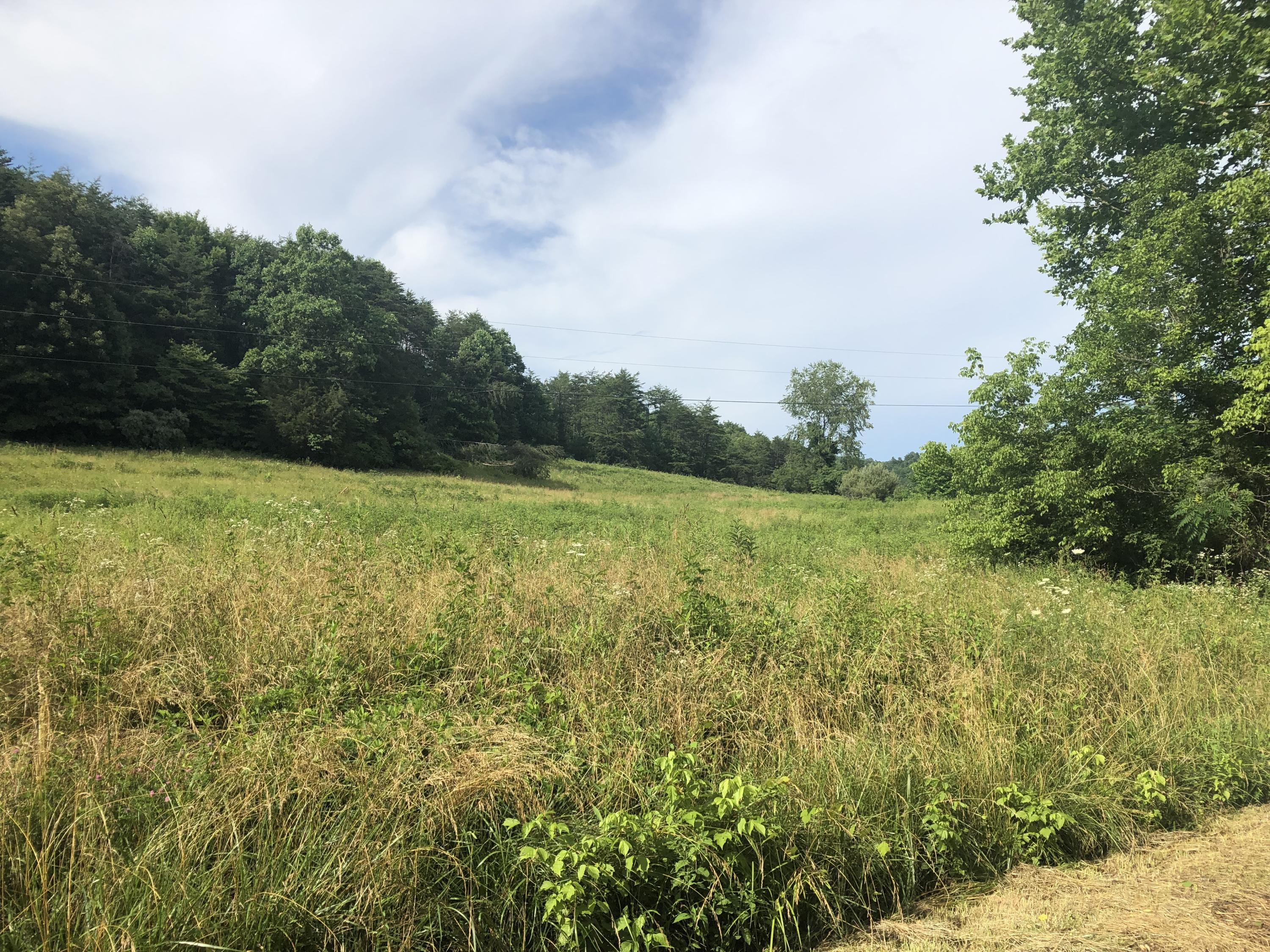 0 Cave Branch Road Campton, KY 41301 - Photo 2 of 10 A68F3B08-0F18-415F-B055-6C5F3A237DB0