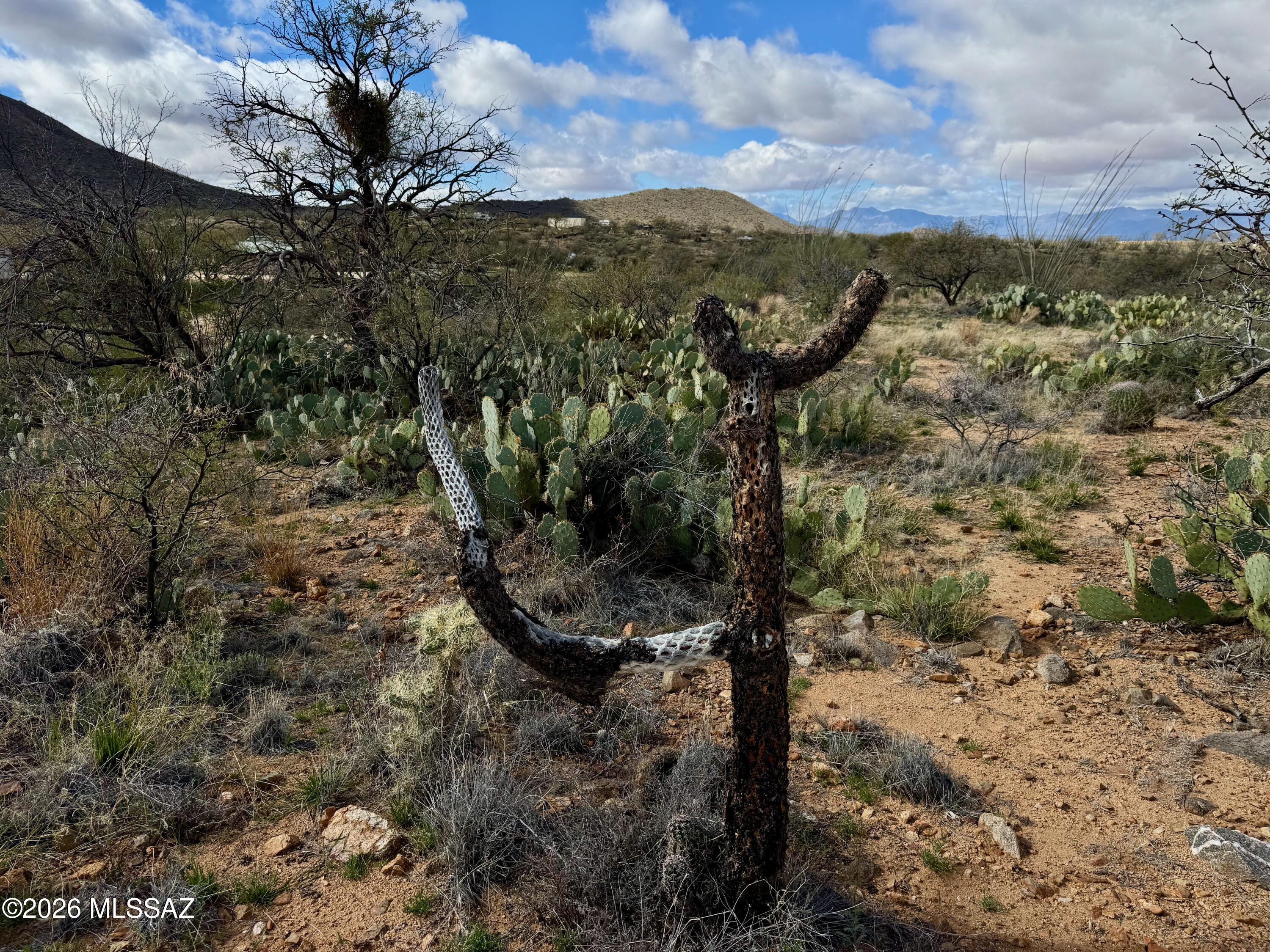 0 South Sierrita Mountain Road Tucson, AZ 85736 - Photo 20 of 24