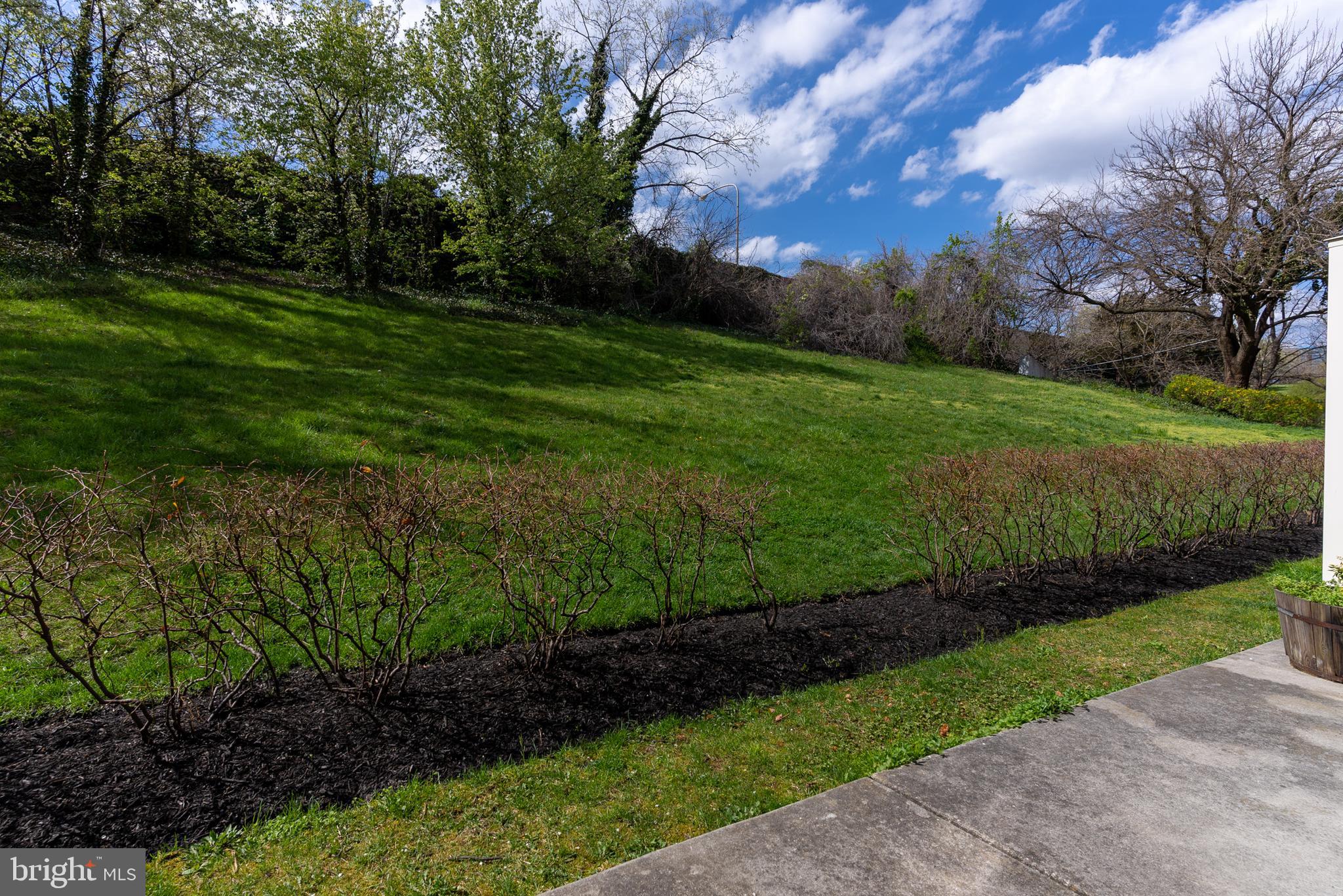 844 Independence Court Philadelphia, PA 19147 - Photo 30 of 35 Back Patio
