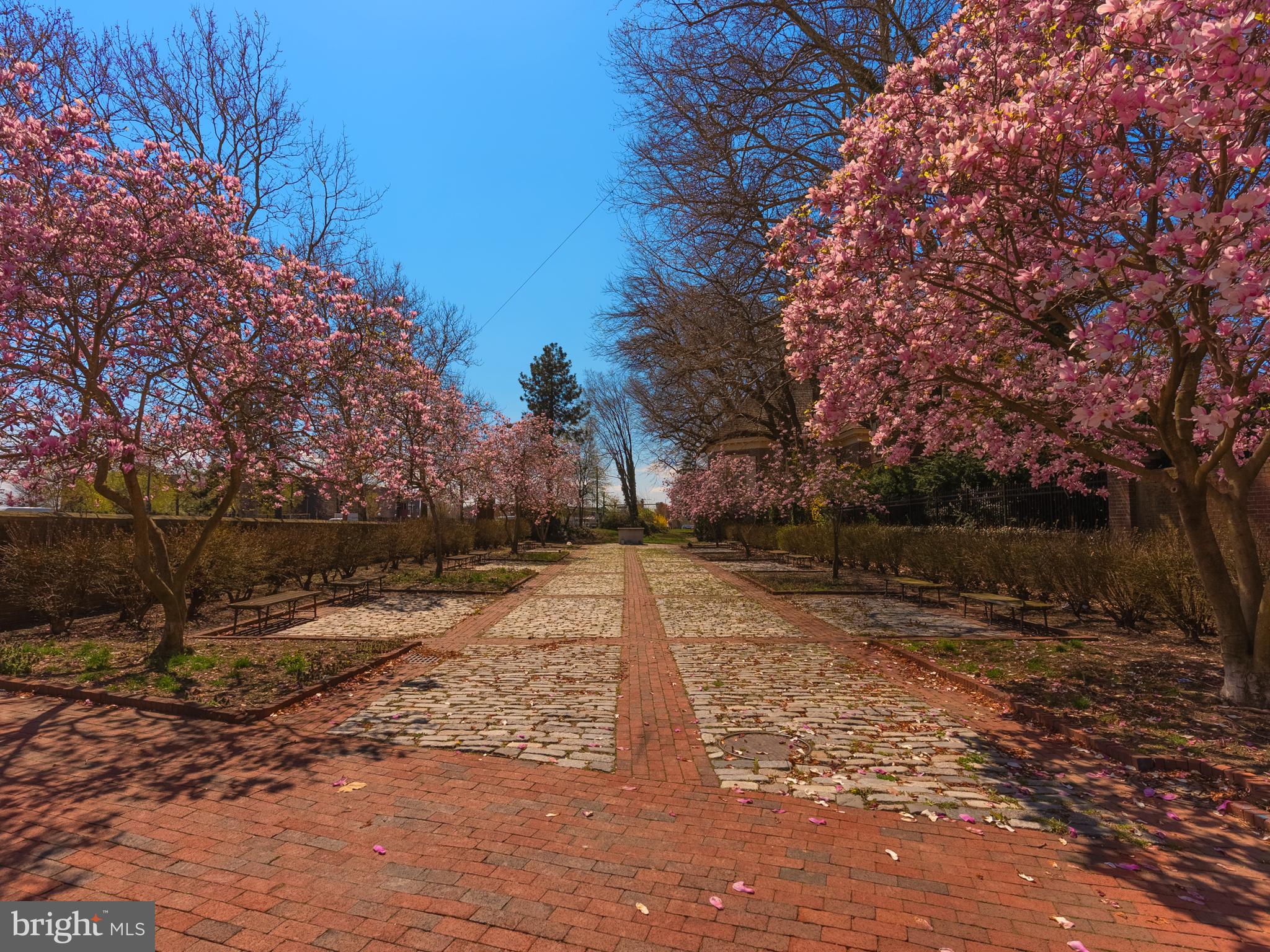 844 Independence Court Philadelphia, PA 19147 - Photo 35 of 35 Nearby Path
