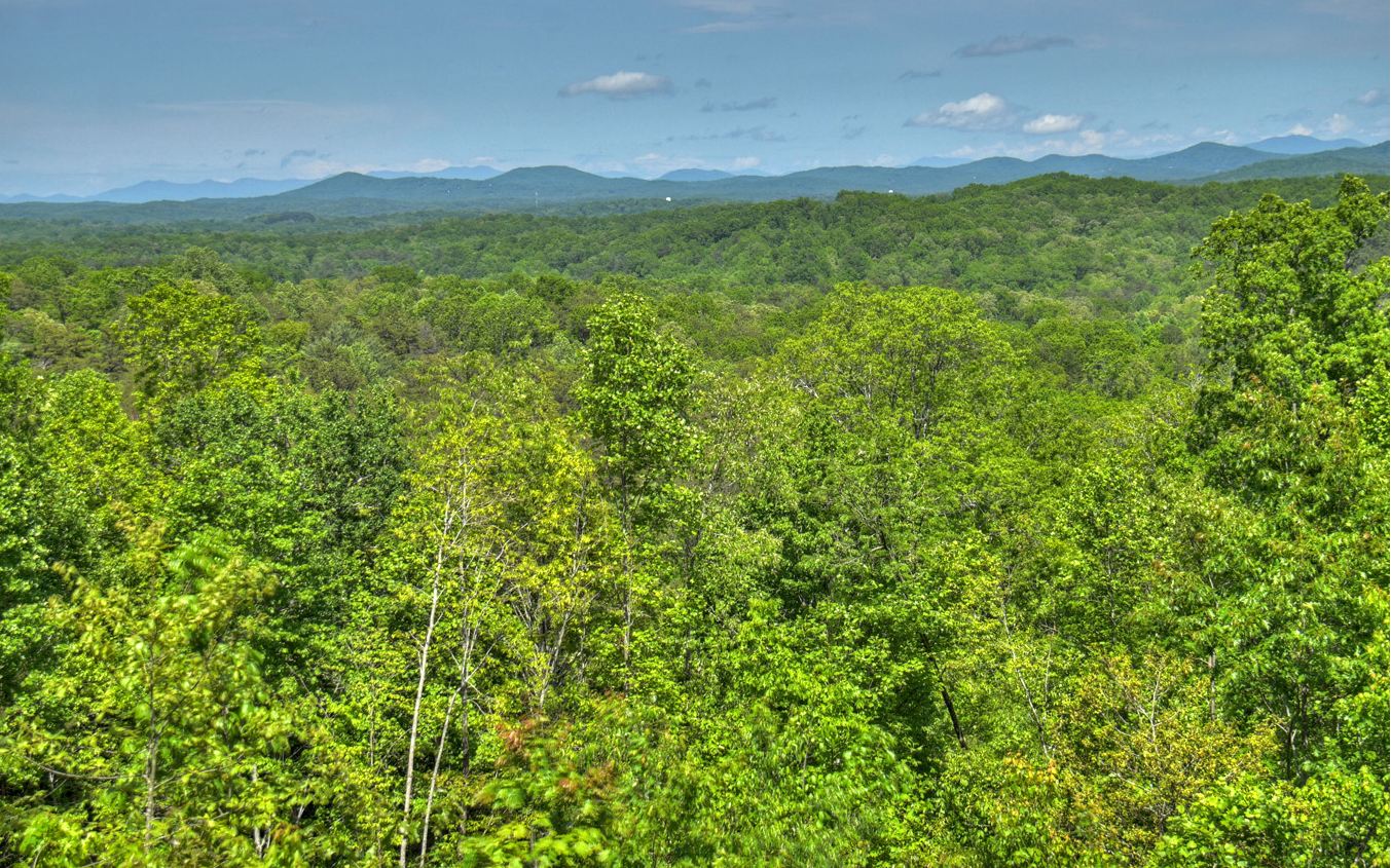 620 Calen Drive Blue Ridge, GA 30513 - Photo 15 of 41 Additional View