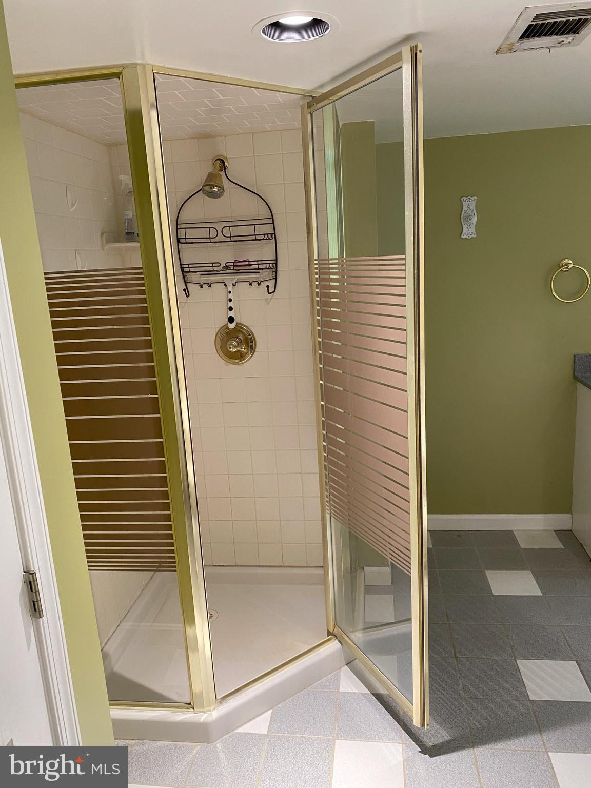 320 Lambeth Road Catonsville, MD 21228 - Photo 48 of 54 Basement Bath w/Soaking Tub & Shower