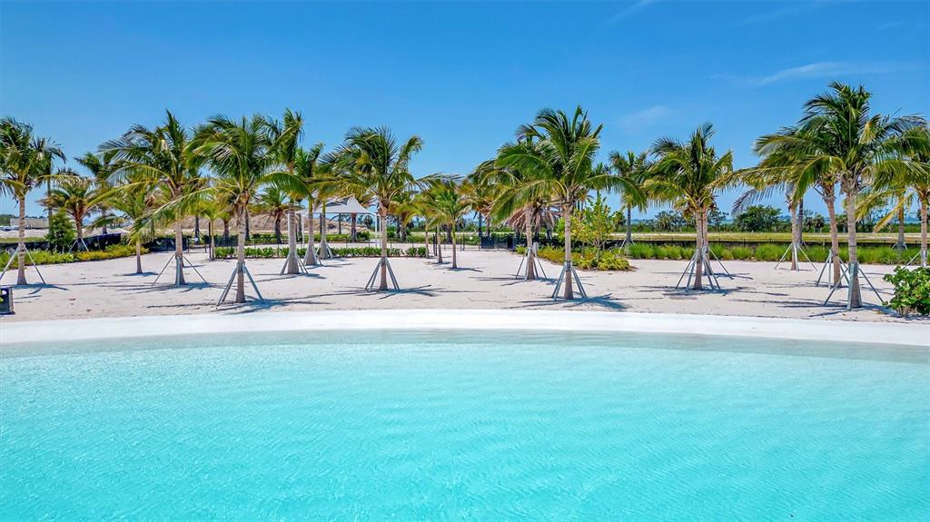 5939 Redbay Boulevard Bradenton, FL 34210 - Photo 52 of 61 a view of a park with palm trees