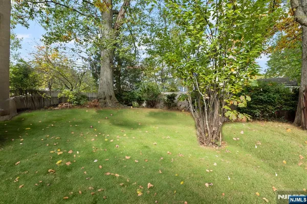 a view of yard with trees