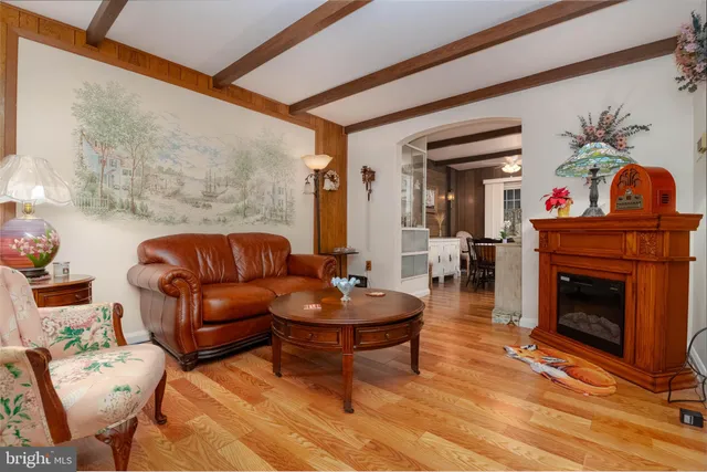 a living room with furniture a fireplace and a potted plant