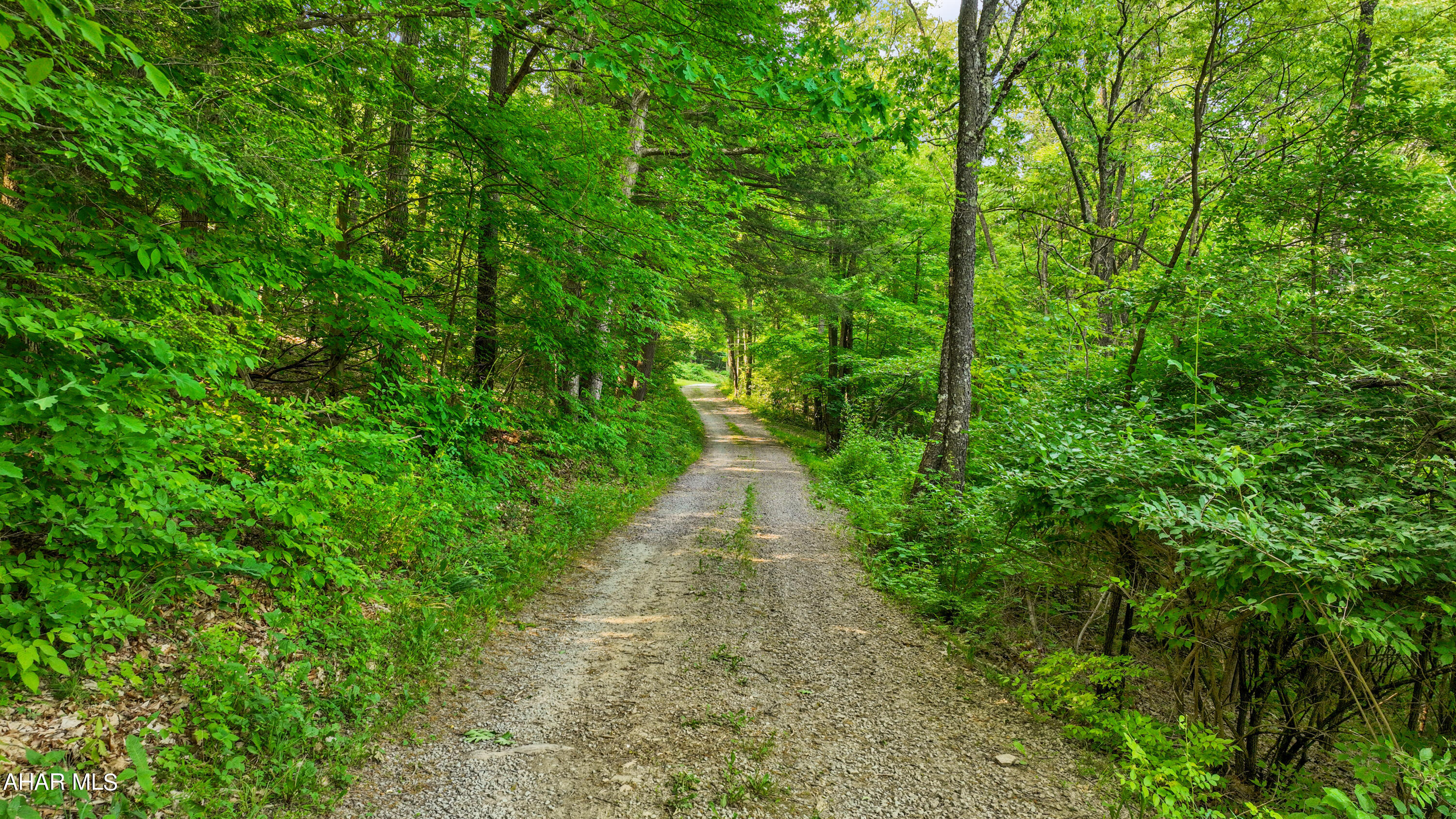 341 Miller Road Fairhope, PA 15538 - Photo 37 of 81 DJI_0100 copy