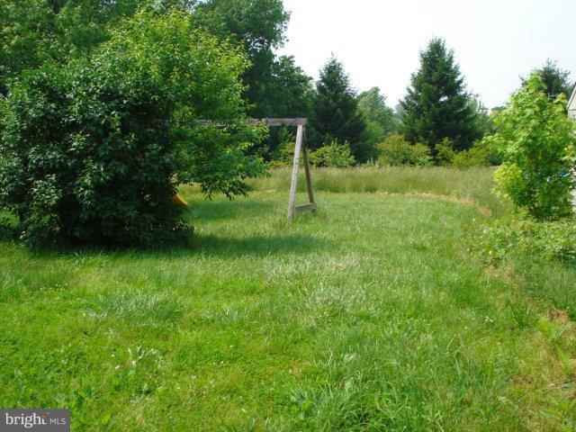 View- Backyard