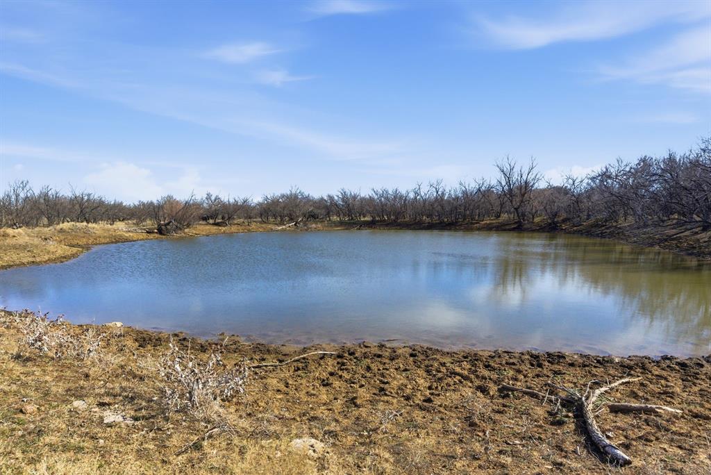 3 Fm 880 Moran, TX 76464 - Photo 7 of 9