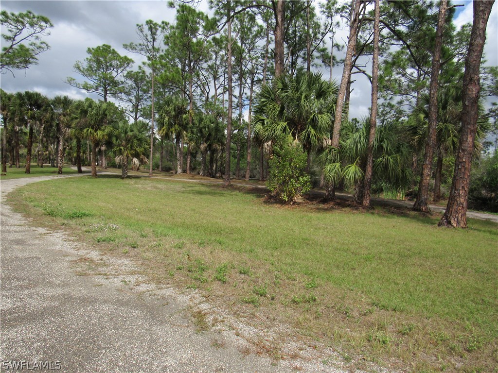 31031 Oil Well Road Punta Gorda, FL 33955 - Photo 2 of 22 a view of a field with trees