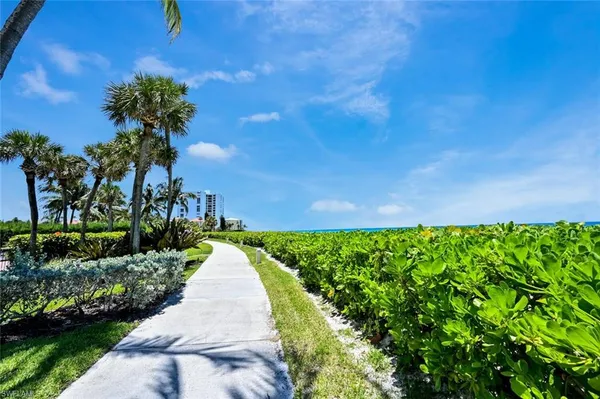 a view of a pathway both side of grassy field with shrub