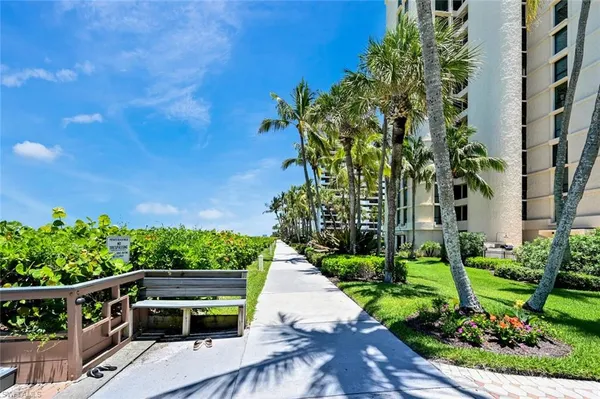 a view of a yard with plants and palm trees