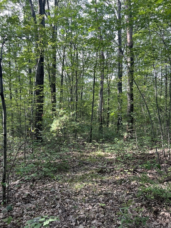 Lot 7 Southbridge Road West Brookfield, MA 01585 - Photo 3 of 3