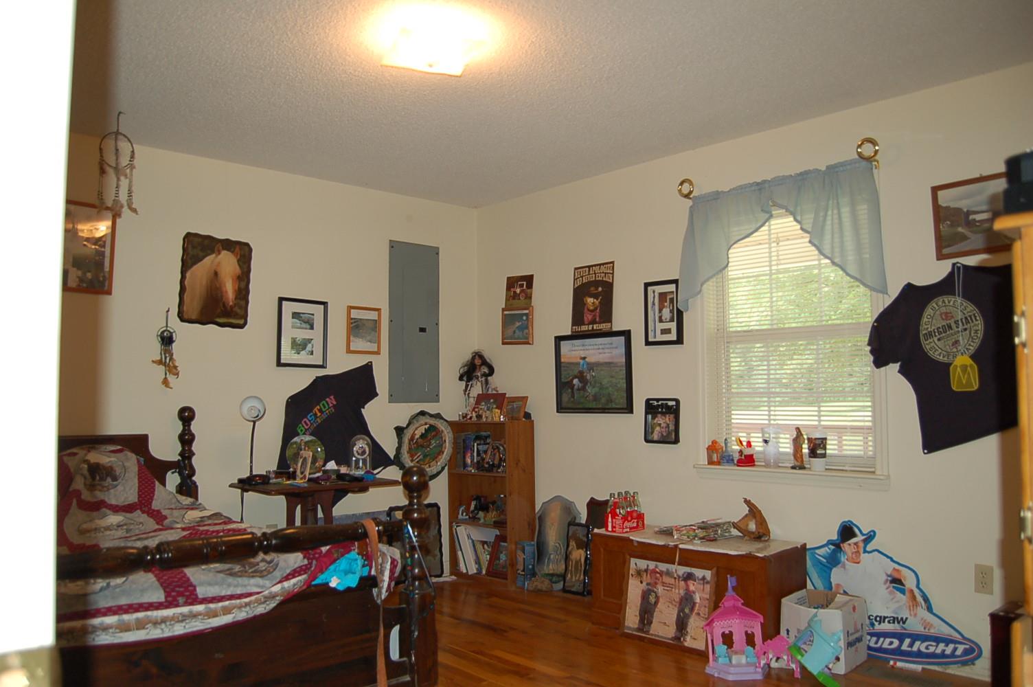1443 Roddy Springs Road Coalmont, TN 37313 - Photo 16 of 30 Gallery Image 16