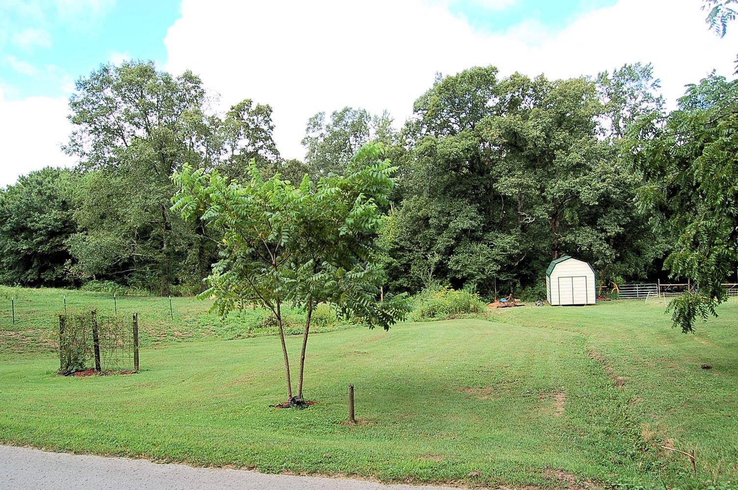 1443 Roddy Springs Road Coalmont, TN 37313 - Photo 24 of 30 Gallery Image 24
