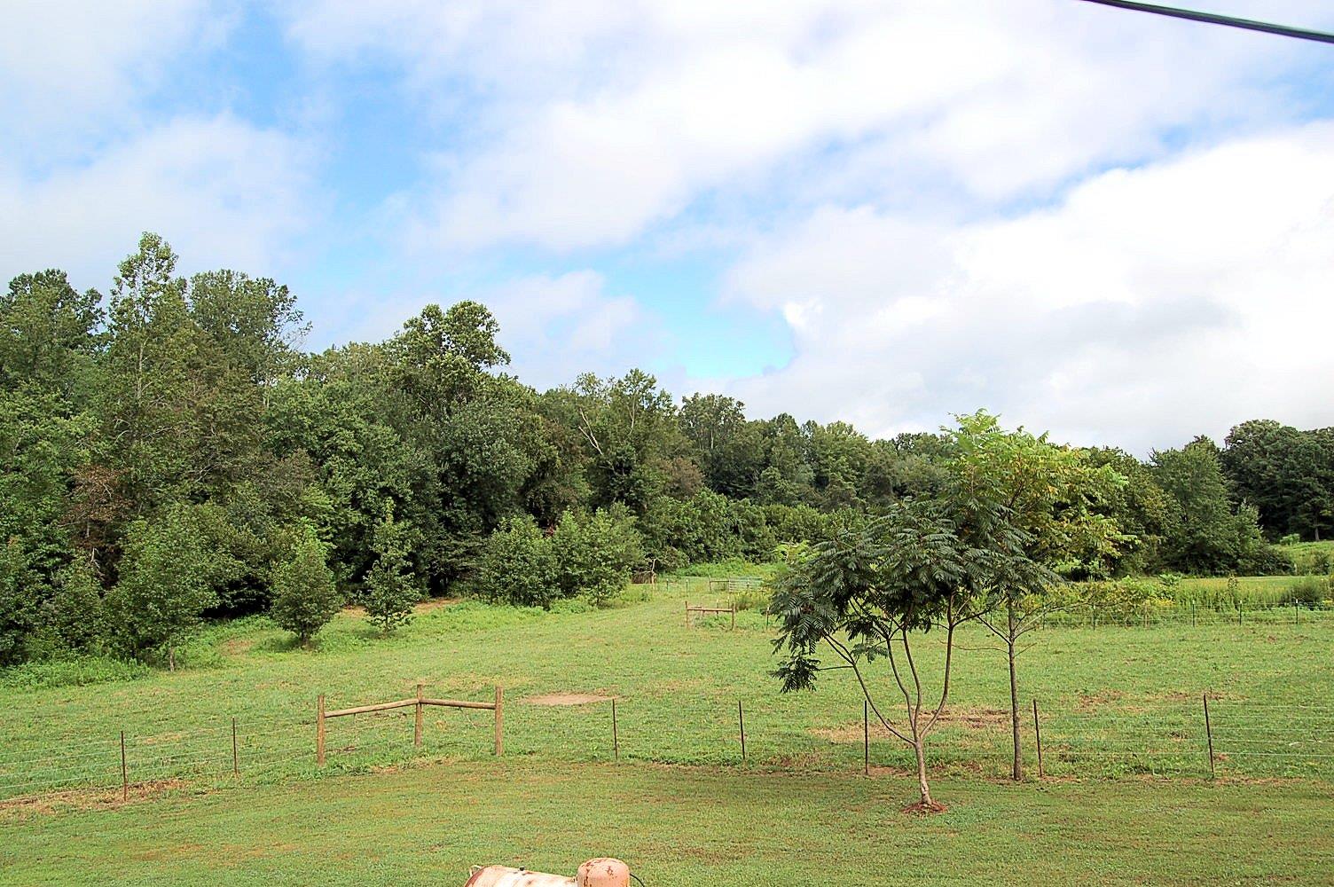 1443 Roddy Springs Road Coalmont, TN 37313 - Photo 28 of 30 Gallery Image 28