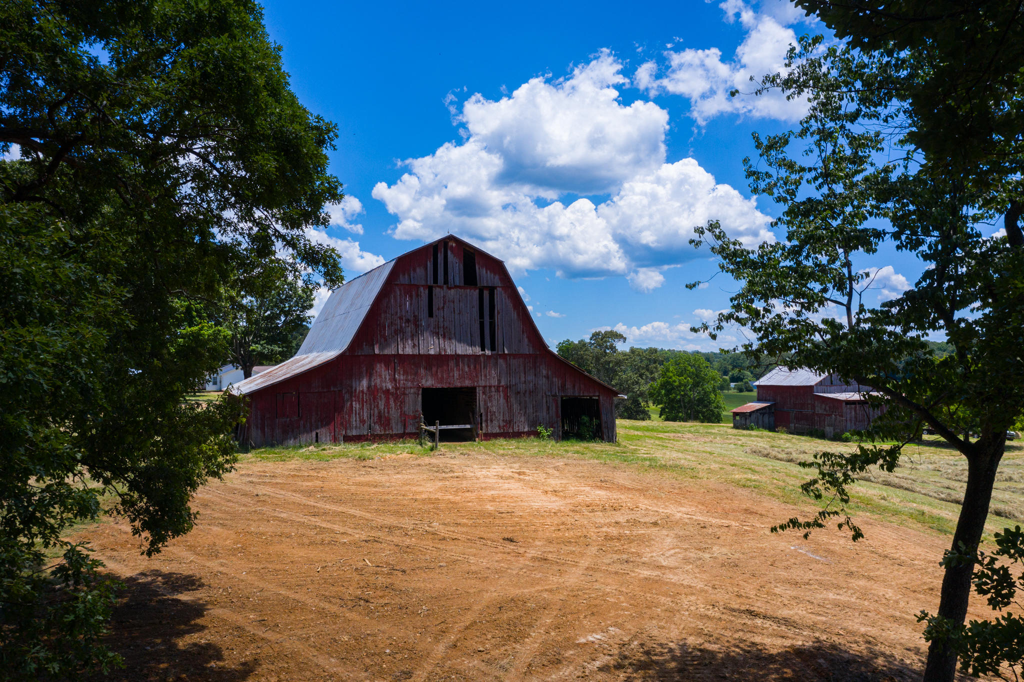 Parsonage Road Dandridge, TN 37725 - Photo 11 of 11 BG_AlleyWhitePine-34
