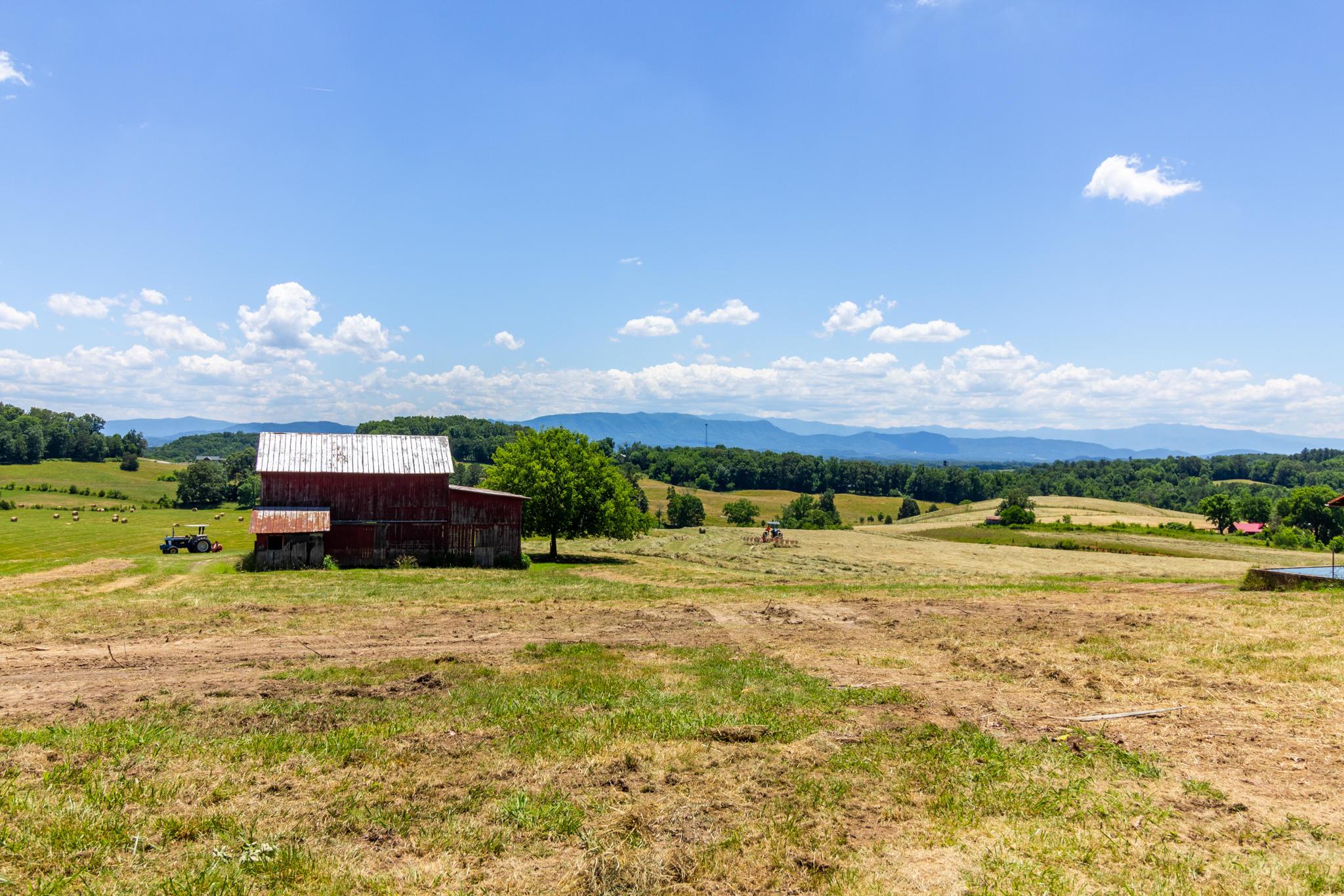 Parsonage Road Dandridge, TN 37725 - Photo 4 of 11 BG_AlleyWhitePine-3
