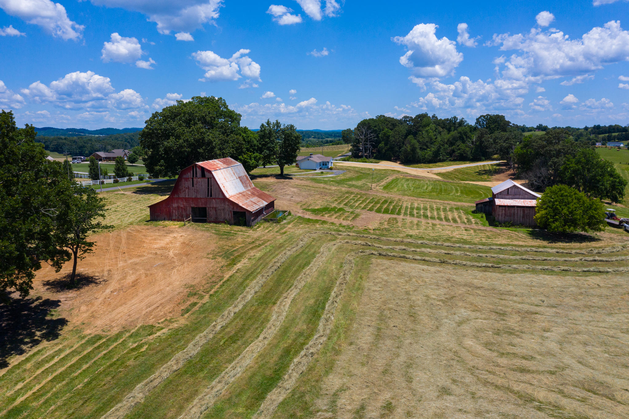 Parsonage Road Dandridge, TN 37725 - Photo 9 of 11 BG_AlleyWhitePine-31