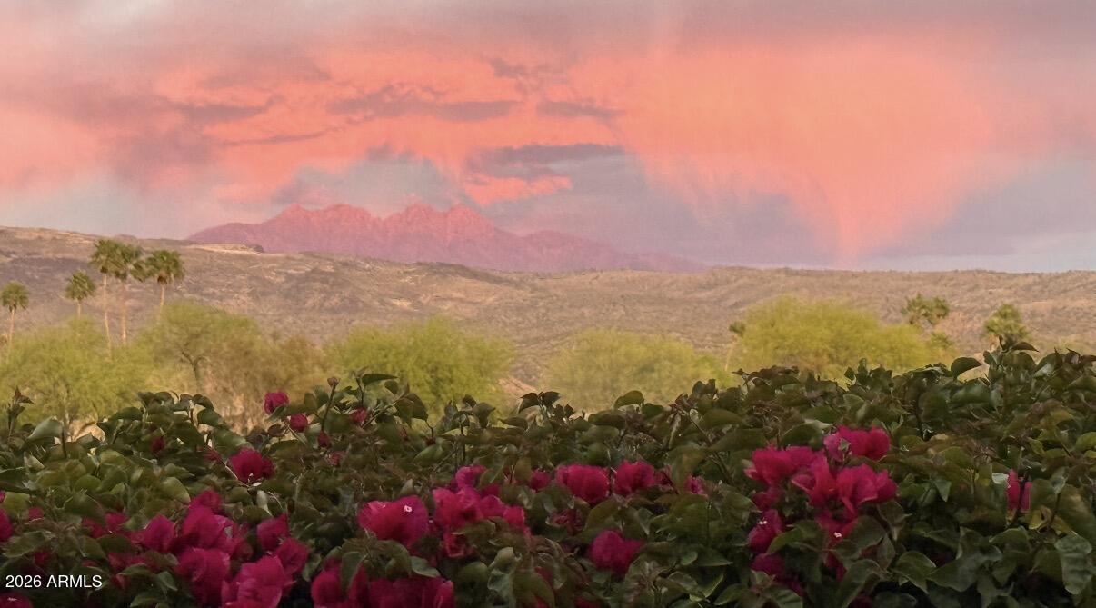 26223 North Loredo Lane Rio Verde, AZ 85263 - Photo 37 of 41 Four Peaks