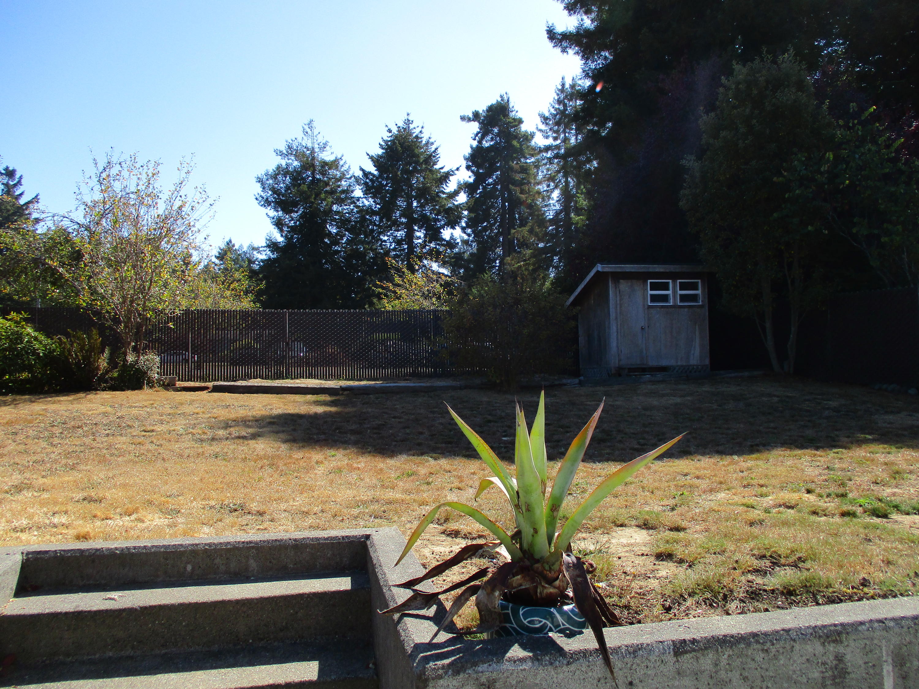 1450 Leslie Road Cutten, CA 95503 - Photo 9 of 52 IMG_1301