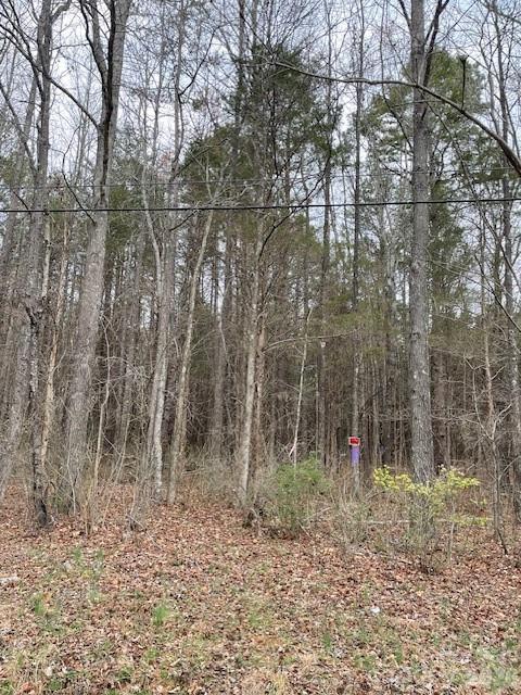0 7th Street Spencer, NC 28159 - Photo 2 of 4 a view of forest