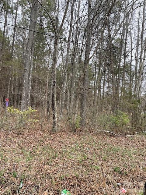 0 7th Street Spencer, NC 28159 - Photo 3 of 4 a view of outdoor space with trees