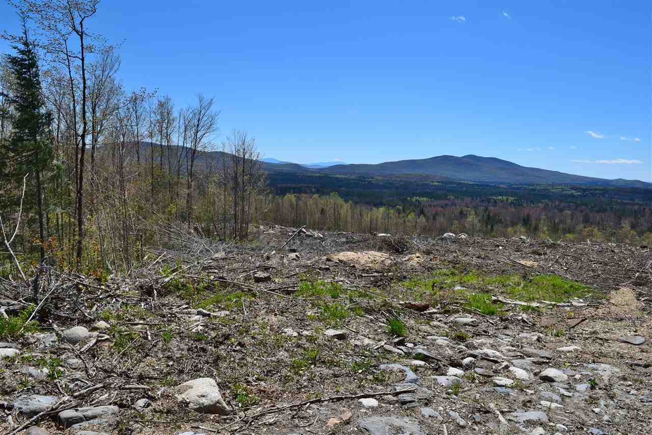 0 Granby Road North Concord, VT 05858 - Photo 3 of 9