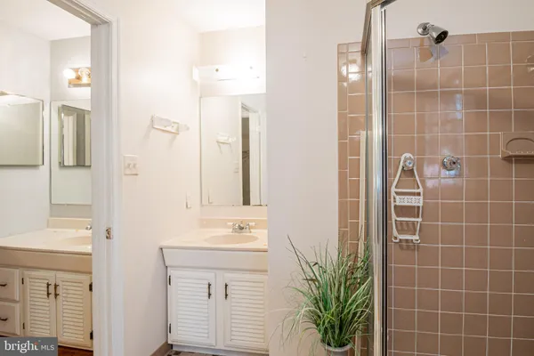 a bathroom with a shower a sink and a mirror