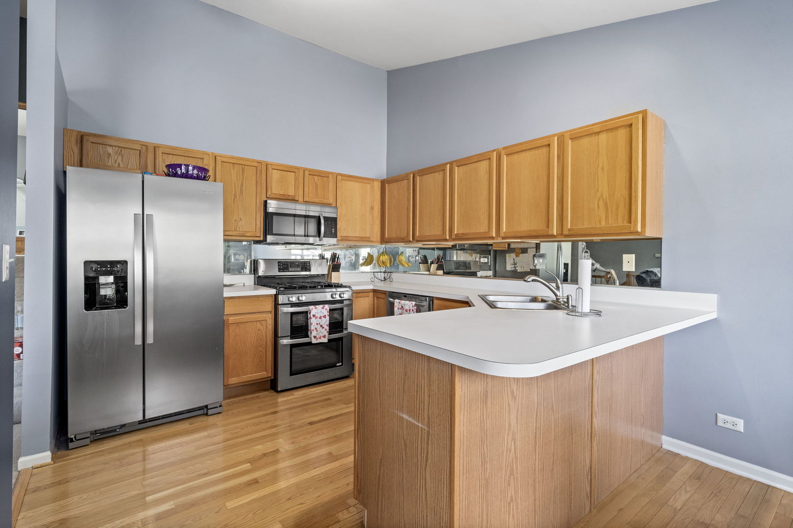 1990 Misty Ridge Lane Aurora, IL 60503 - Photo 4 of 20 Gallery Image 4
