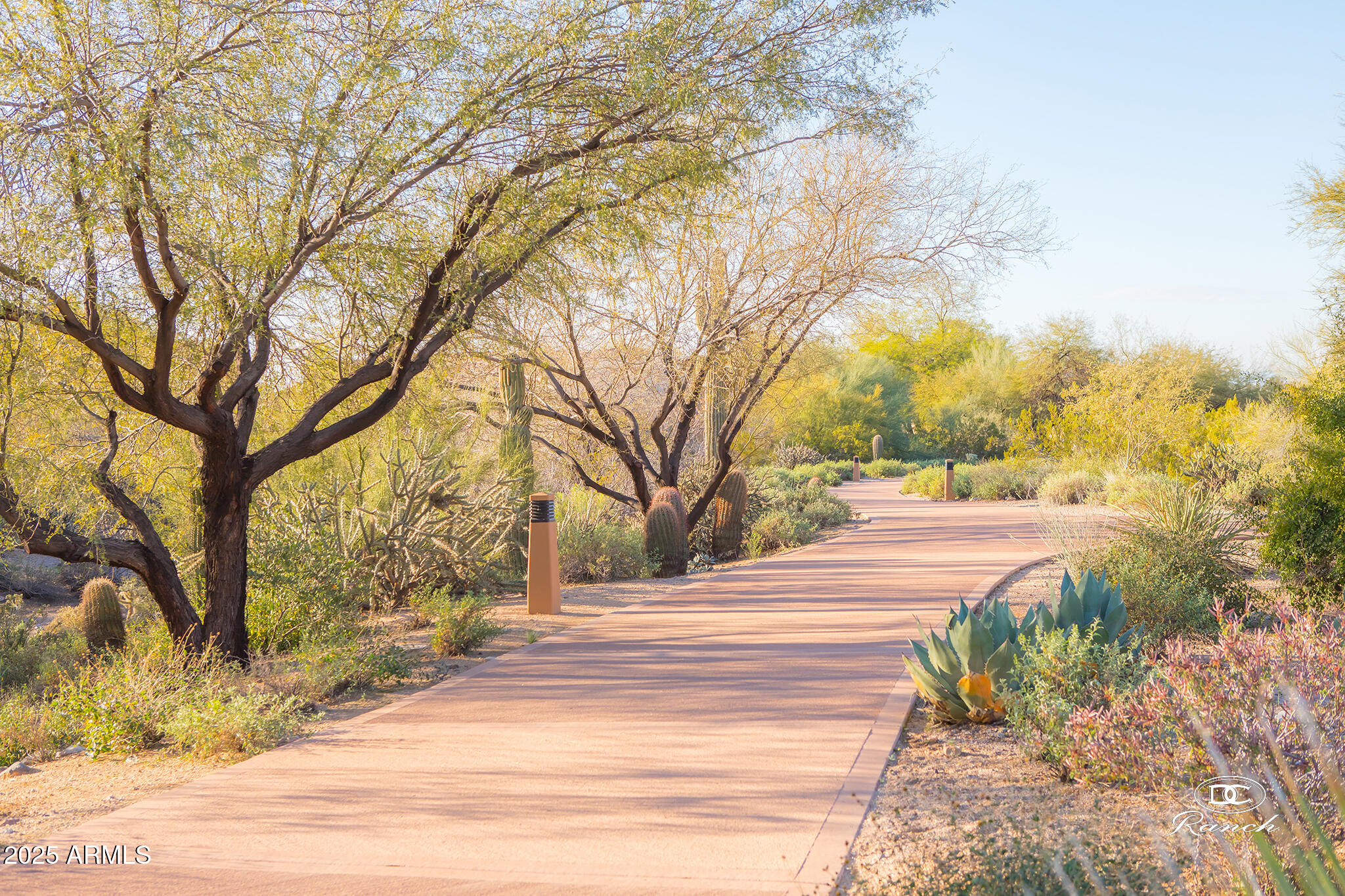 9190 East Hoverland Road Scottsdale, AZ 85255 - Photo 35 of 35 a view of a yard with large trees