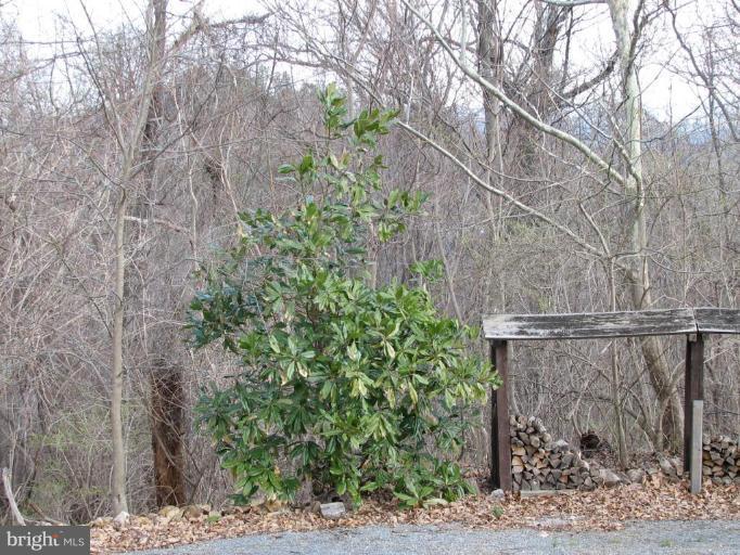 80 River Overlook Road Front Royal, VA 22630 - Photo 12 of 15 Exterior #3