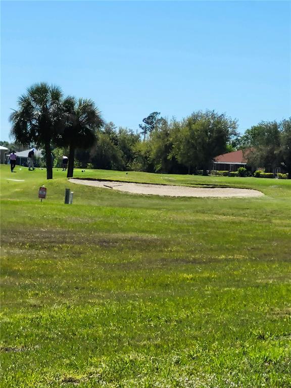 26139 Northern Cross Road Punta Gorda, FL 33983 - Photo 9 of 9 a view of a big yard with a large trees