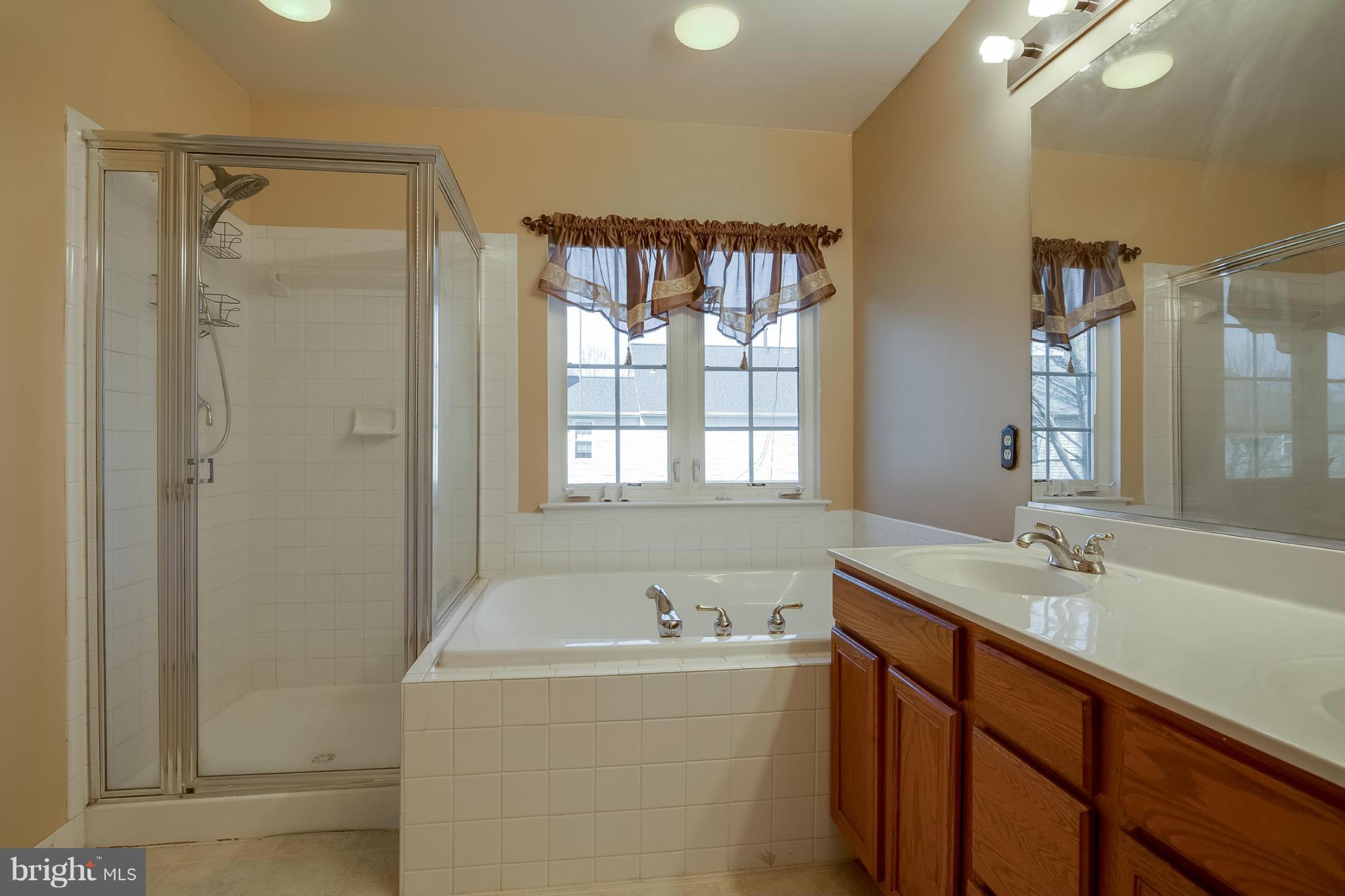 8021 Big Pool Road Laurel, MD 20724 - Photo 8 of 14 Bath (Master)