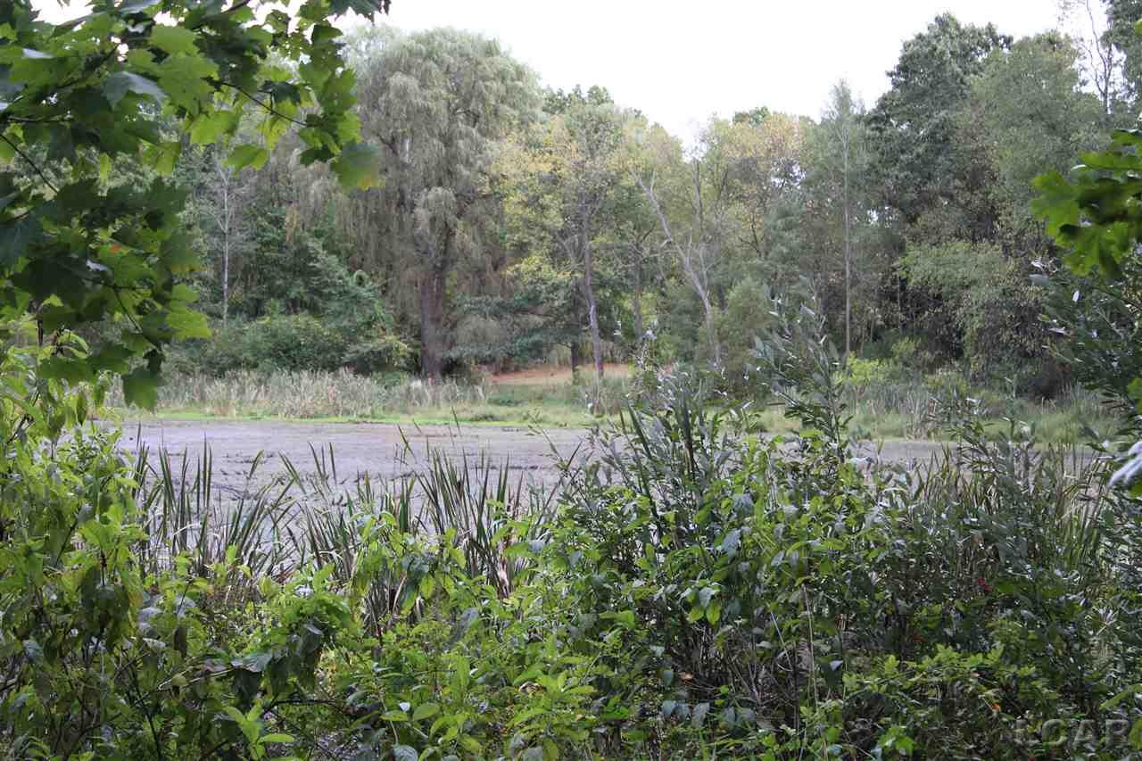 Cross Road Horton, MI 49246 - Photo 5 of 15