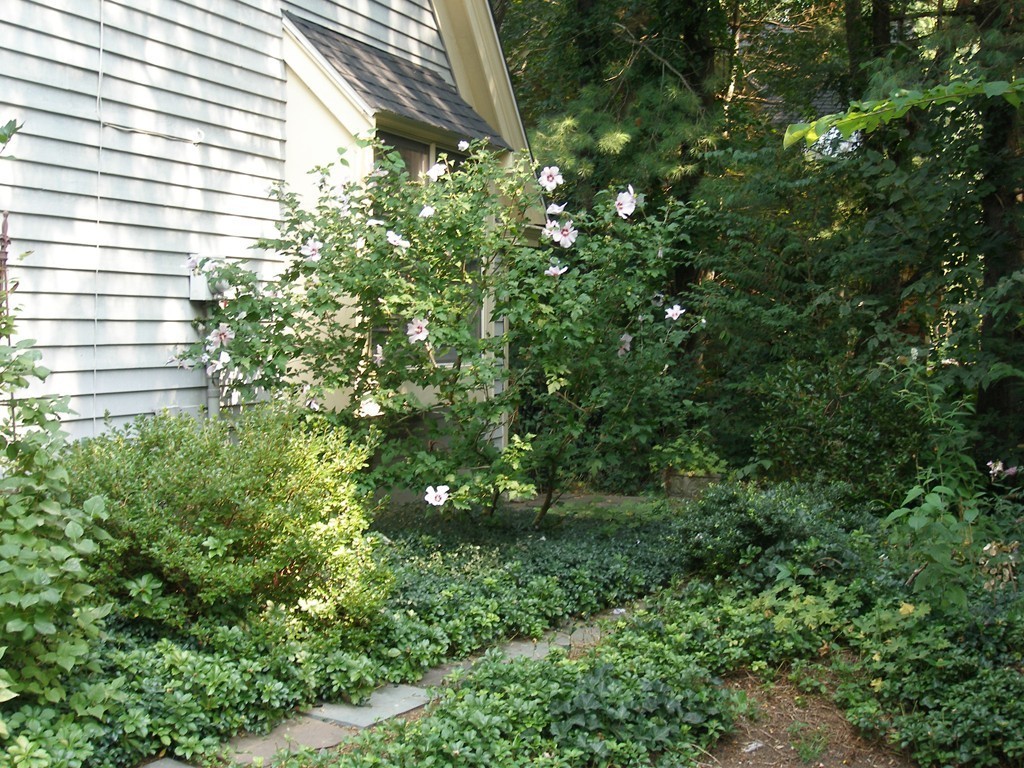 111 Brigham Street, Unit 23D Hudson, MA 01749 - Photo 20 of 22