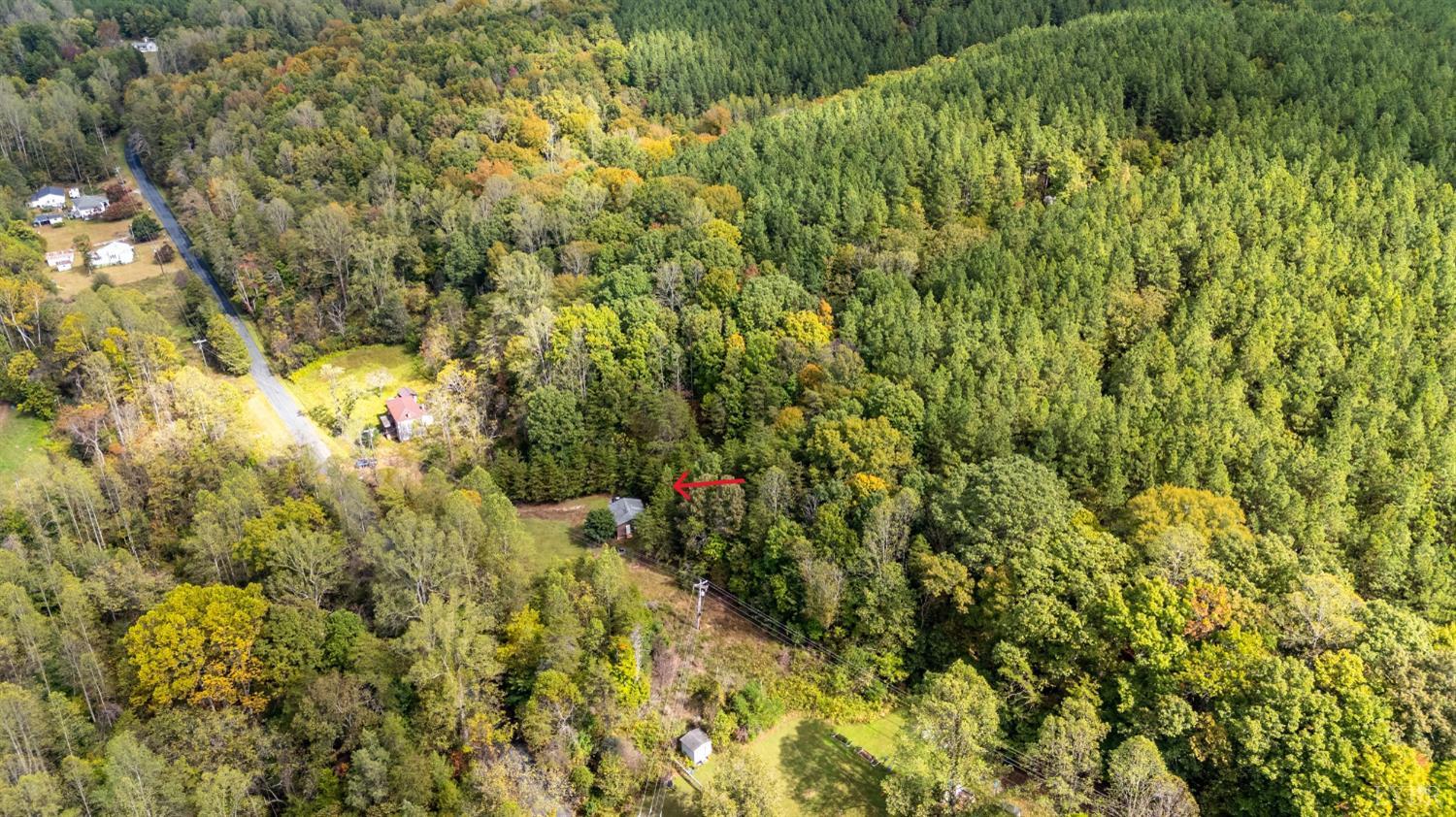2758 Allens Creek Road Gladstone, VA 24553 - Photo 25 of 25 a view of a yard