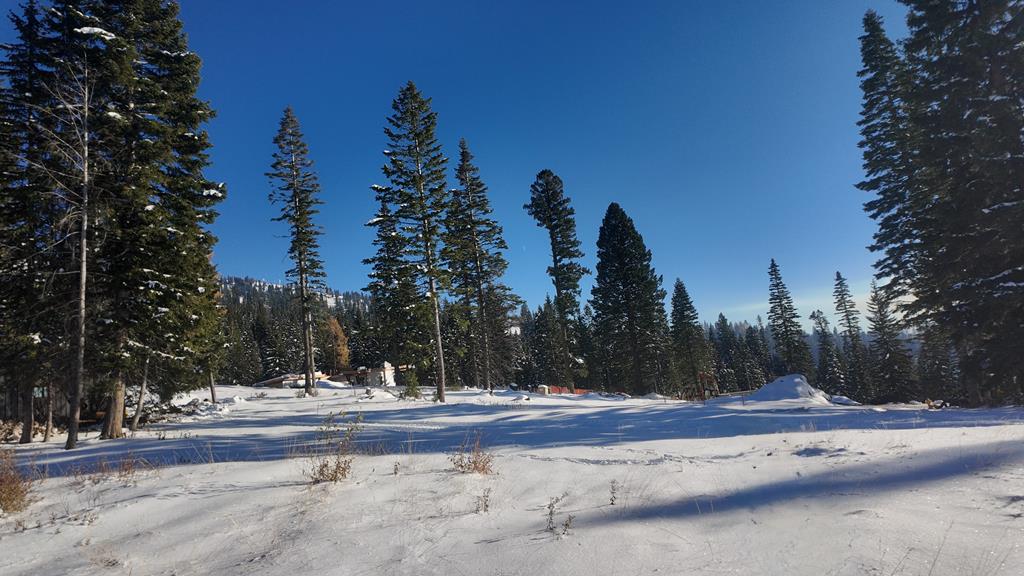 Tbd North Tbd N Loop Road, Unit 5 McCall, ID 83638 - Photo 6 of 28