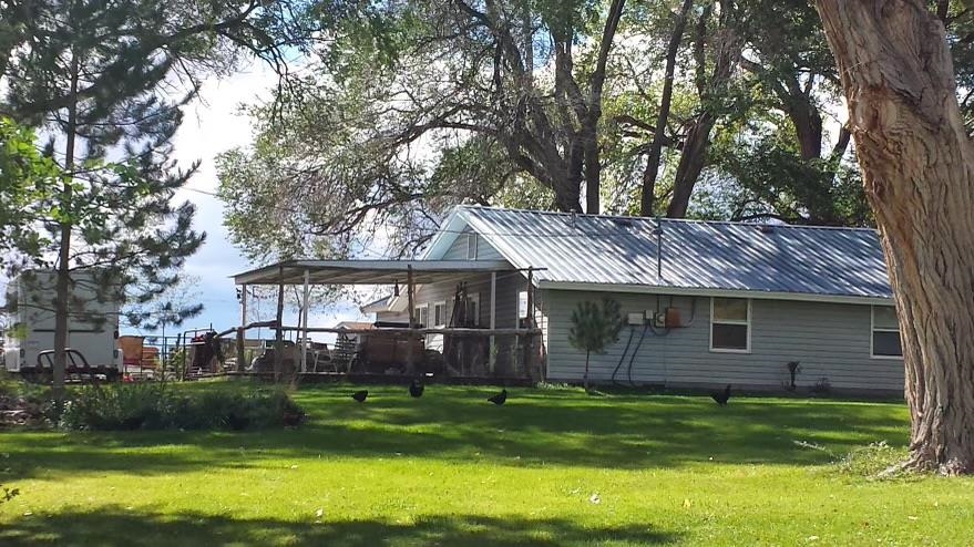 3177 B Road Grand Junction, CO 81503 - Photo 7 of 17 Gallery Image 7