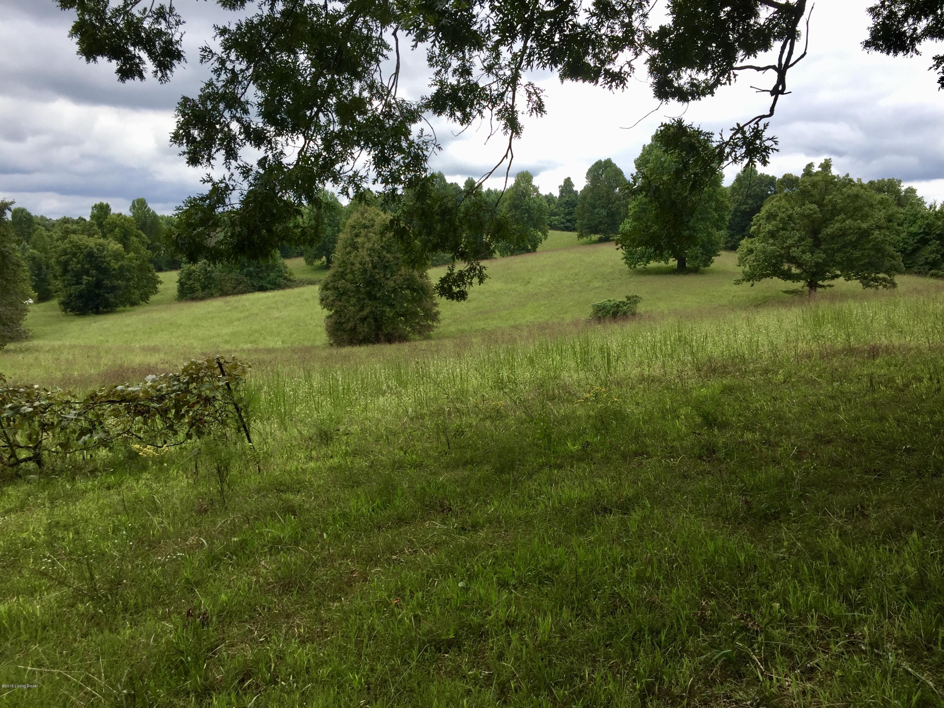 617 North Hopewell Church Road Fordsville, KY 42343 - Photo 93 of 116 93