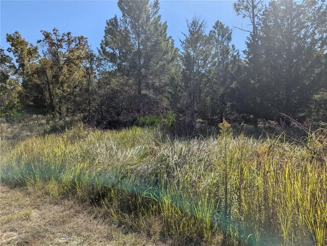 a view of a lake view
