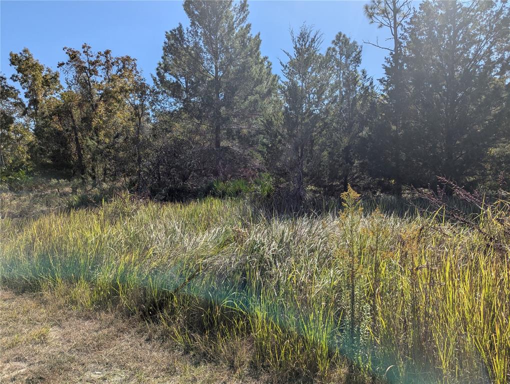 a view of a lake view