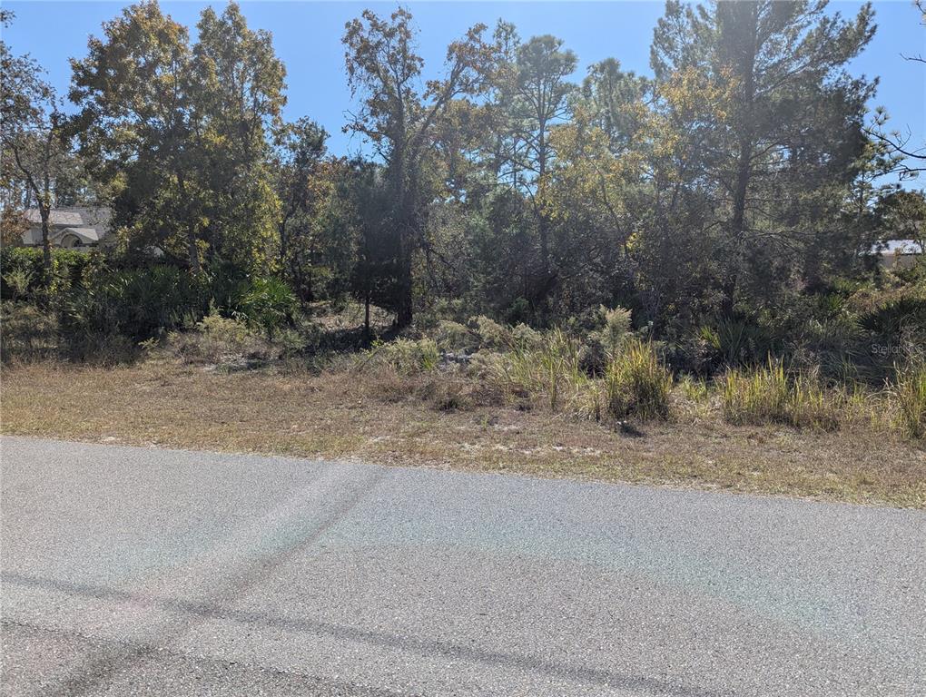 11240 Fool Duck Avenue Weeki Wachee, FL 34613 - Photo 3 of 3 a view of a dirt road with trees in the background