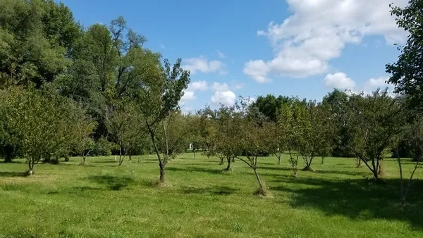 $59,900 | 5548 West Heatherbrook Trail, Monee, IL 60449