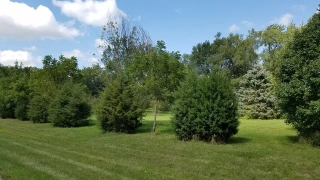 $59,900 | 5548 West Heatherbrook Trail, Monee, IL 60449